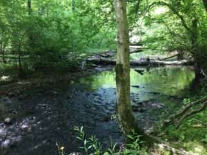 trails inside Hot Springs Village, Arkansas