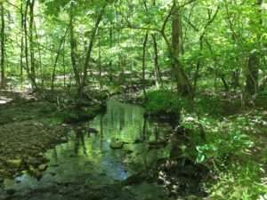trails inside Hot Springs Village, Arkansas