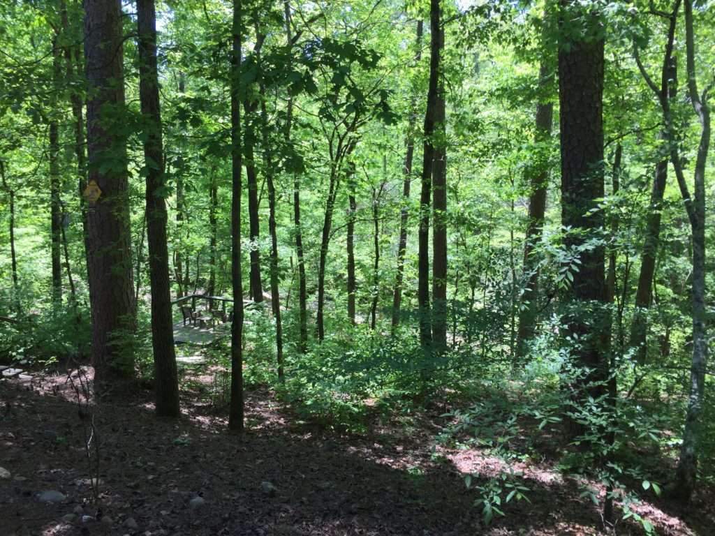 The History Of Hot Springs Village, Arkansas › Hot Springs Village