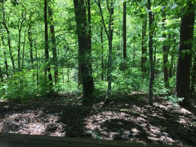 The History Of Hot Springs Village, Arkansas › Hot Springs Village