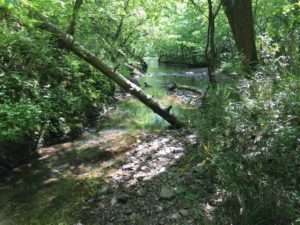 trails inside Hot Springs Village, Arkansas