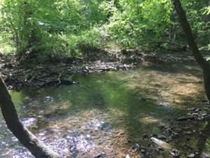 trails inside Hot Springs Village, Arkansas