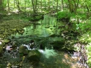 trails inside Hot Springs Village, Arkansas