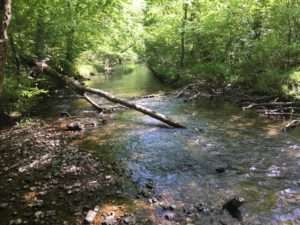 Trails Inside Hot Springs Village, Arkansas