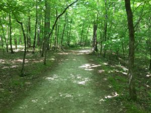 Trails Inside Hot Springs Village, Arkansas