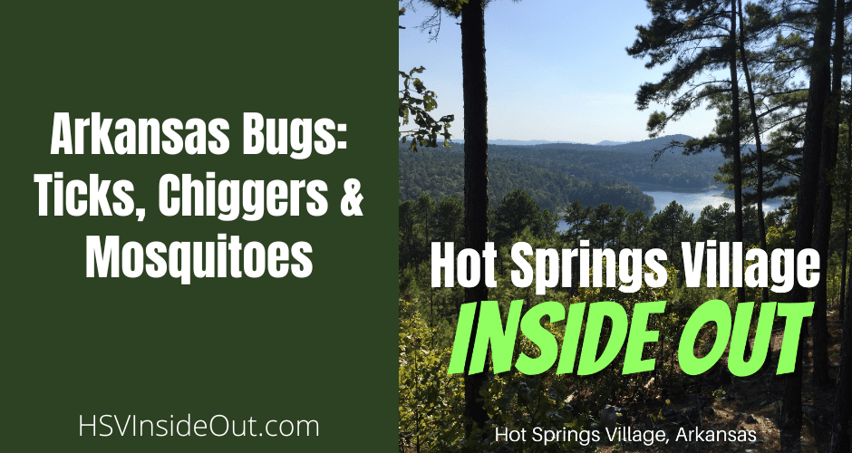 Arkansas Bugs: Ticks, Chiggers & Mosquitoes