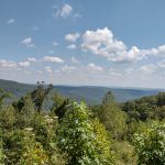 The Ozark-St. Francis National Forest 9