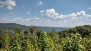 The Ozark-St. Francis National Forest 9