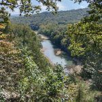 The Ozark-St. Francis National Forest 6
