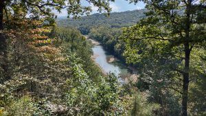 The Ozark-St. Francis National Forest 6