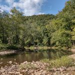 The Ozark-St. Francis National Forest 3