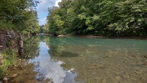 The Ozark-St. Francis National Forest 1