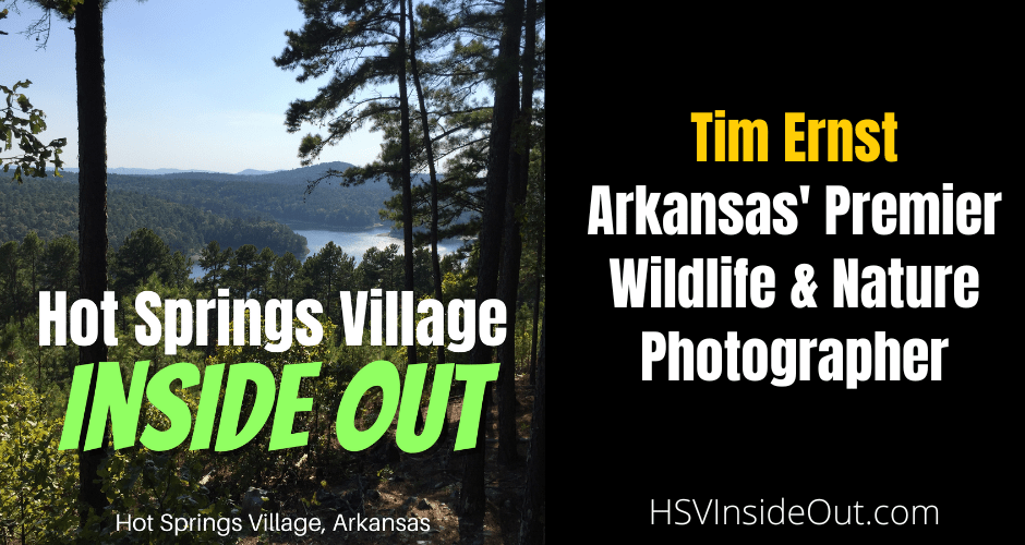 Tim Ernst: Arkansas' Premier Wildlife & Nature Photographer