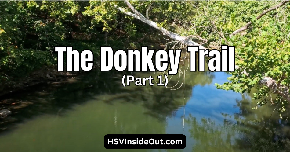 The Donkey Trail (Part 1)