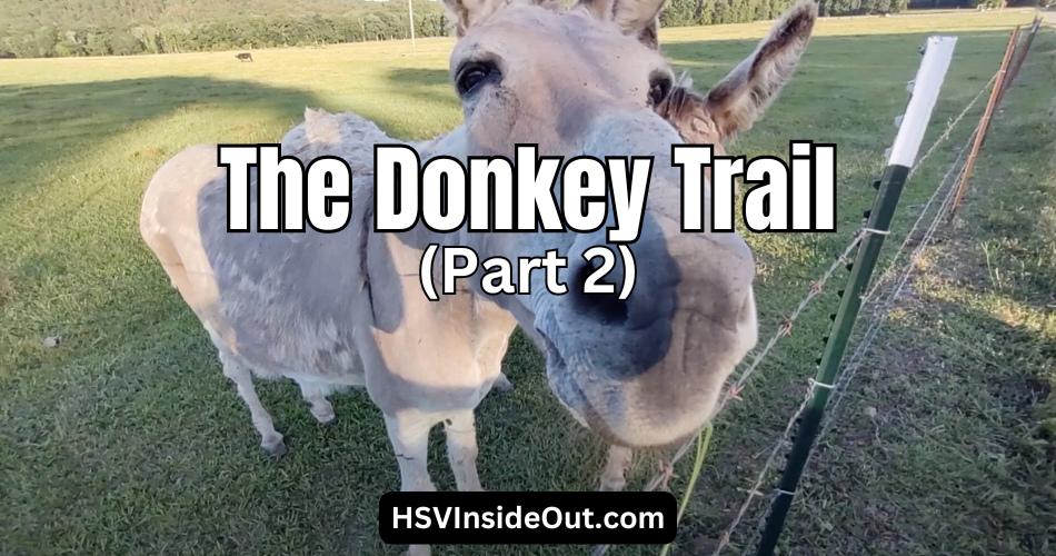 The Donkey Trail (Part 2)