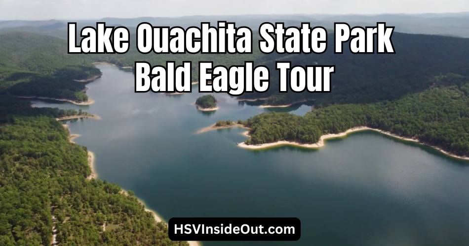 Lake Ouachita State Park Bald Eagle Tour