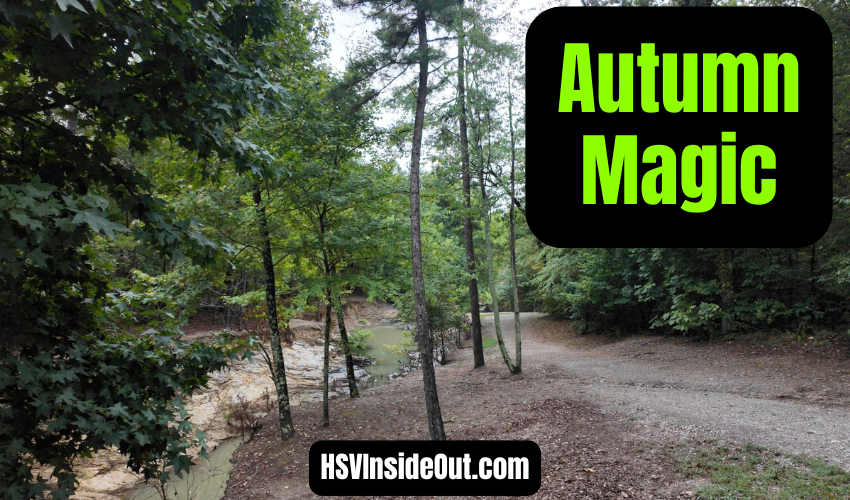 Fall in Love with Autumn in Hot Springs Village