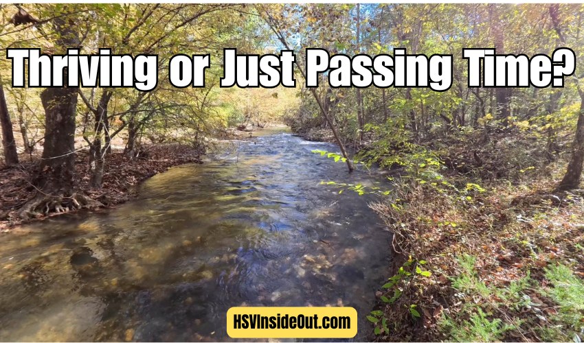 Thriving or Just Passing Time?