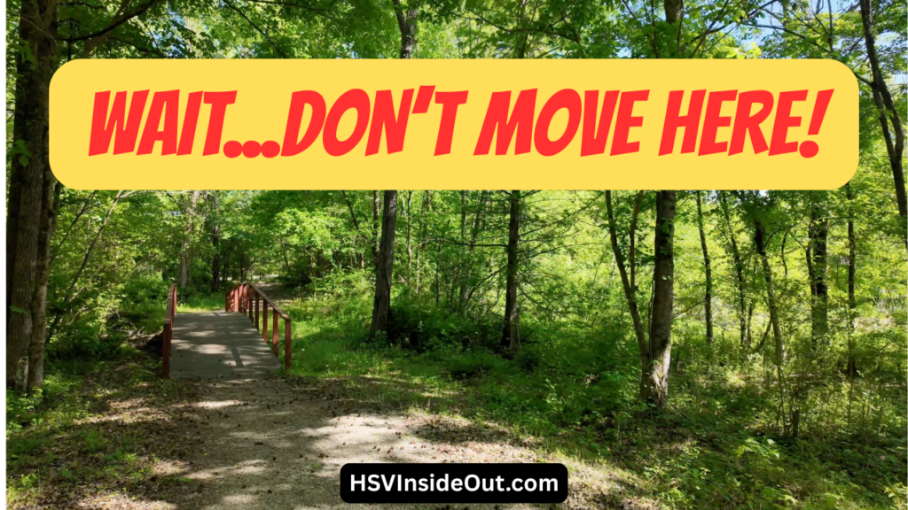 I Love Hot Springs Village…But You Need to Know This